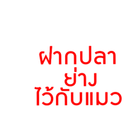 830551684