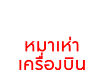 830551687