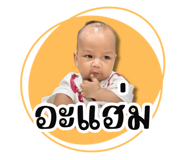 830554384