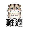 830556930