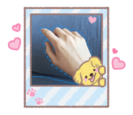 830559430