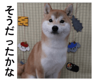 830559977