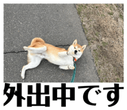 830559978