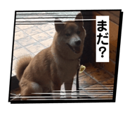 830559983