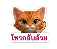 830561619