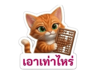 830561626
