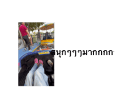 830571026