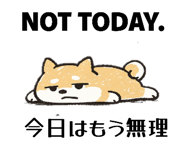 830571426