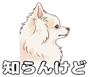 830575409