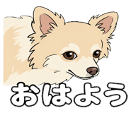 830575415