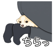 830575417