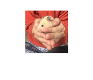 830577481