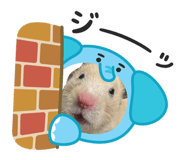 830577484