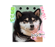 830580661