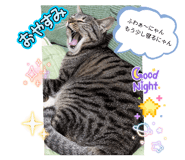 830580664