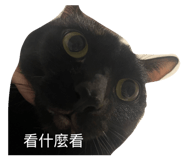 830585497