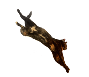 830585498