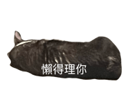 830585503