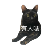 830585510