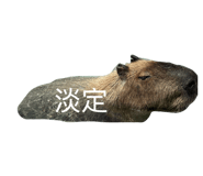 830585511