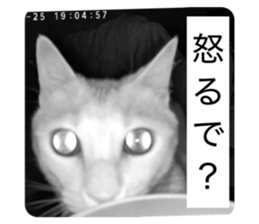 830596419