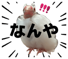 830602286