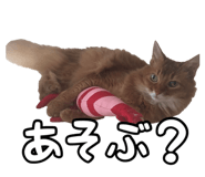 830606924