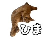830606926