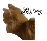 830606930