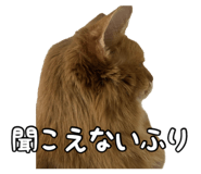 830606932