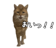830606935