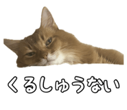 830606943