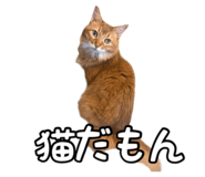830606944