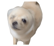 830624448