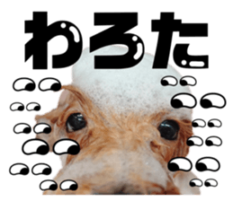 830645390