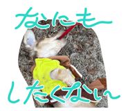 830660650