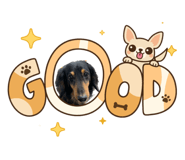 830660656