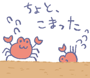 830682698