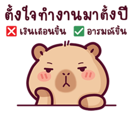 บงบง คาปิบาร่าเจ้าแสบ13 รูปที่ 6