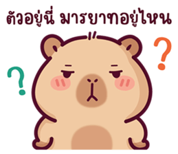 บงบง คาปิบาร่าเจ้าแสบ13 รูปที่ 9