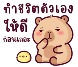บงบง คาปิบาร่าเจ้าแสบ13 รูปที่ 10