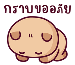 บงบง คาปิบาร่าเจ้าแสบ13 รูปที่ 12