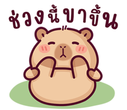 บงบง คาปิบาร่าเจ้าแสบ13 รูปที่ 16