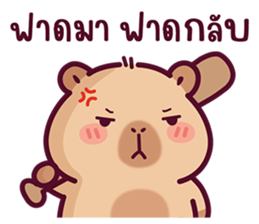 บงบง คาปิบาร่าเจ้าแสบ13 รูปที่ 17