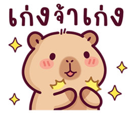 บงบง คาปิบาร่าเจ้าแสบ13 รูปที่ 18
