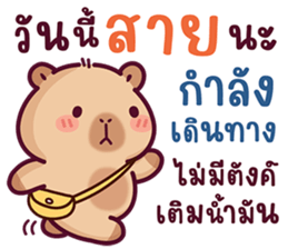 บงบง คาปิบาร่าเจ้าแสบ13 รูปที่ 19