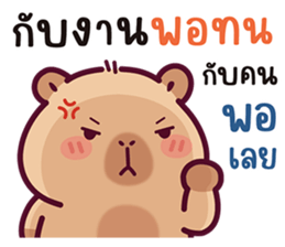 บงบง คาปิบาร่าเจ้าแสบ13 รูปที่ 20