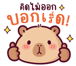 บงบง คาปิบาร่าเจ้าแสบ13 รูปที่ 21