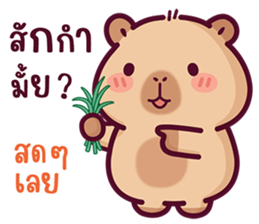 บงบง คาปิบาร่าเจ้าแสบ13 รูปที่ 22