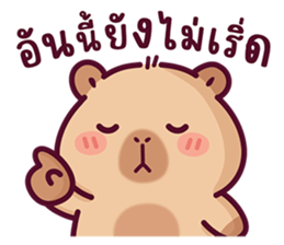บงบง คาปิบาร่าเจ้าแสบ13 รูปที่ 23